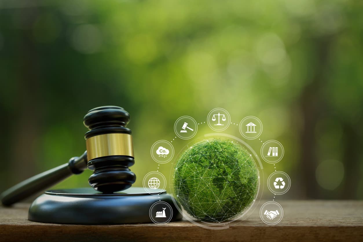 Energy, Natural Resources & Environmental Law