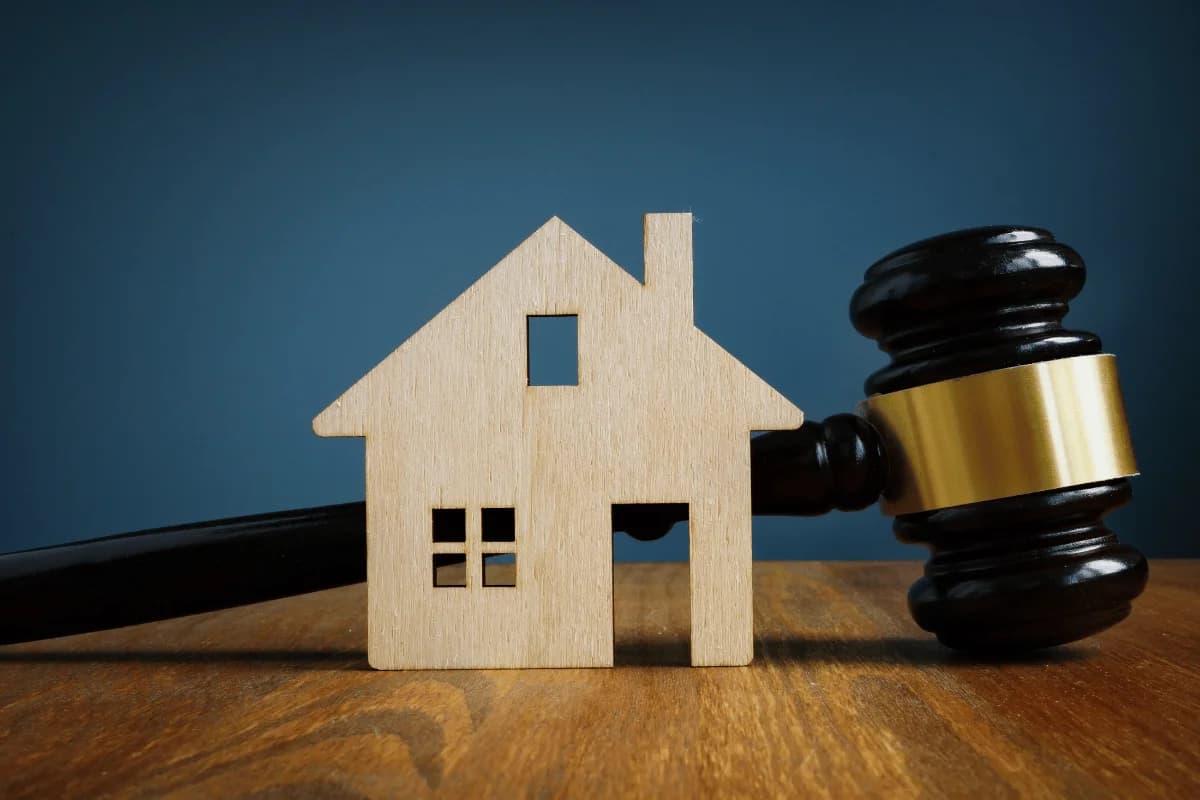 Property & Real Estate